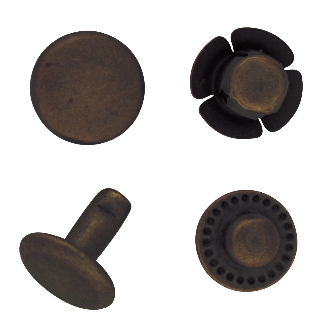 #2205 Segma Snaps 4 #2205 Segma Snaps - Image 4