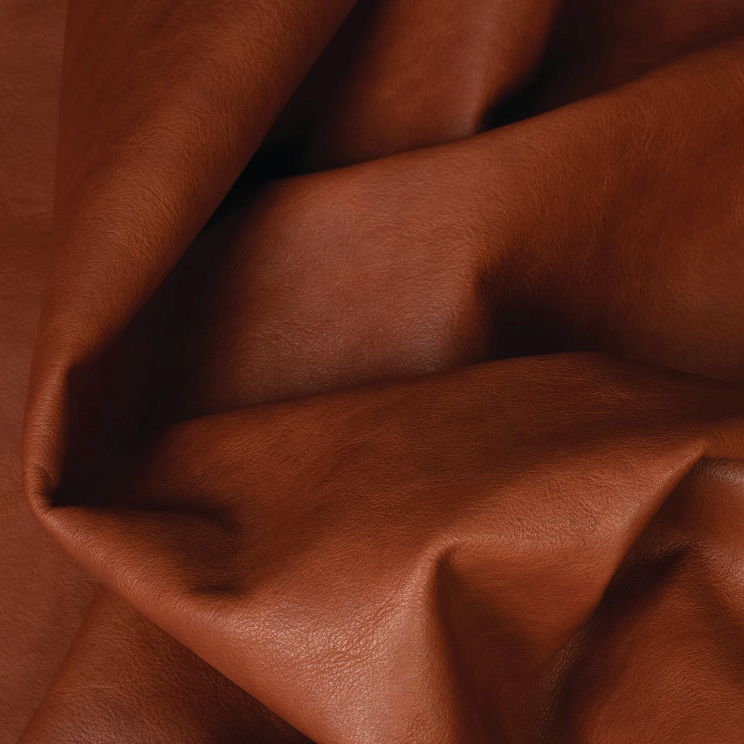 Hermann Oak® Heritage 1881 Top Grain Leather, 4 To 5 Oz. 3 Hermann Oak® Heritage 1881 Top Grain Leather, 4 To 5 Oz. - Image 3