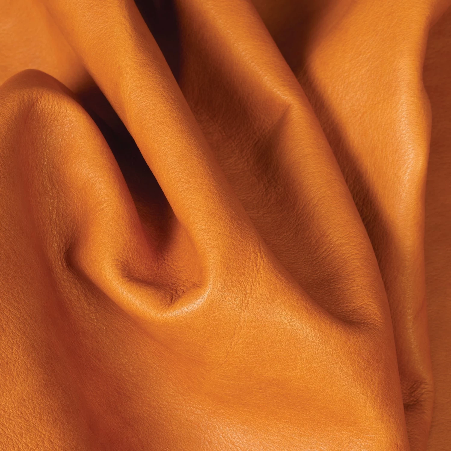 Hermann Oak® Heritage 1881 Top Grain Leather, 4 To 5 Oz. 19 Hermann Oak® Heritage 1881 Top Grain Leather, 4 To 5 Oz. - Image 19