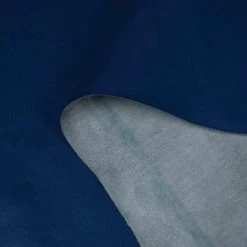 Fire Veg Tan Sides, 3-4 Oz. -Leather Craft Shop 13115 33 75 02 ccopy 2b616523 4193 4741 ac23 c13c120f87c2