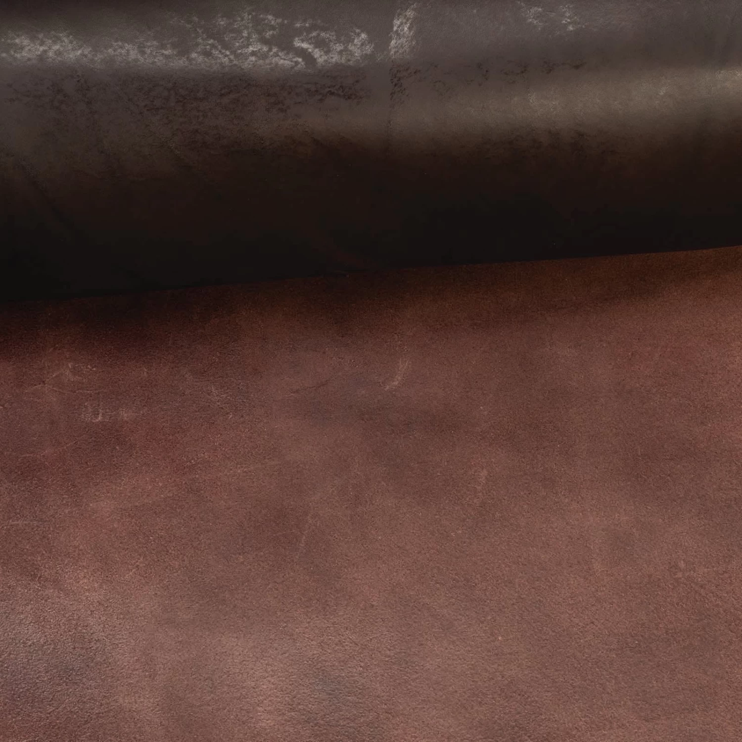 CHAHINLEATHER® English Bridle Leather, Double Shoulders 10 CHAHINLEATHER® English Bridle Leather, Double Shoulders - Image 10