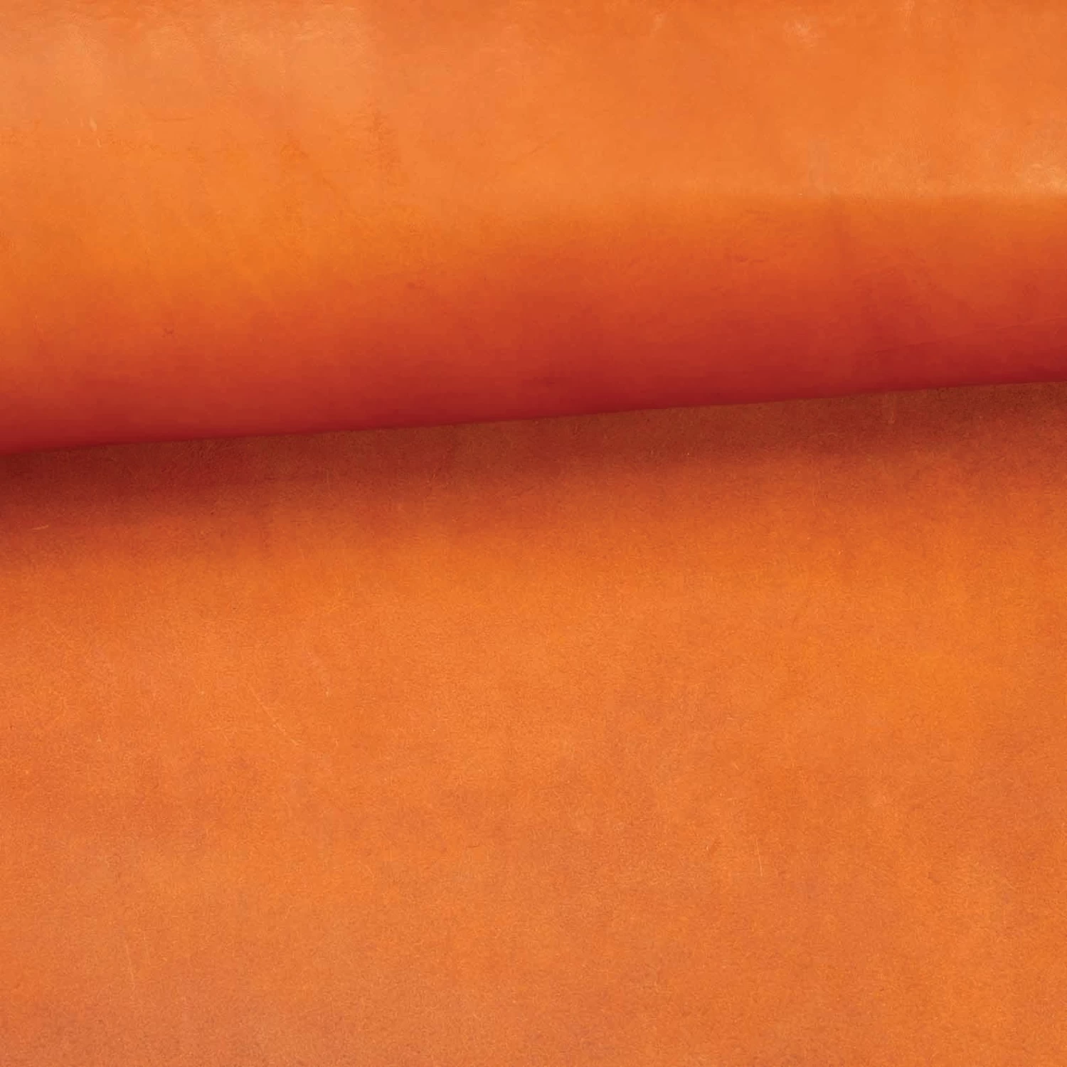 CHAHINLEATHER® English Bridle Leather, Double Shoulders 12 CHAHINLEATHER® English Bridle Leather, Double Shoulders - Image 12