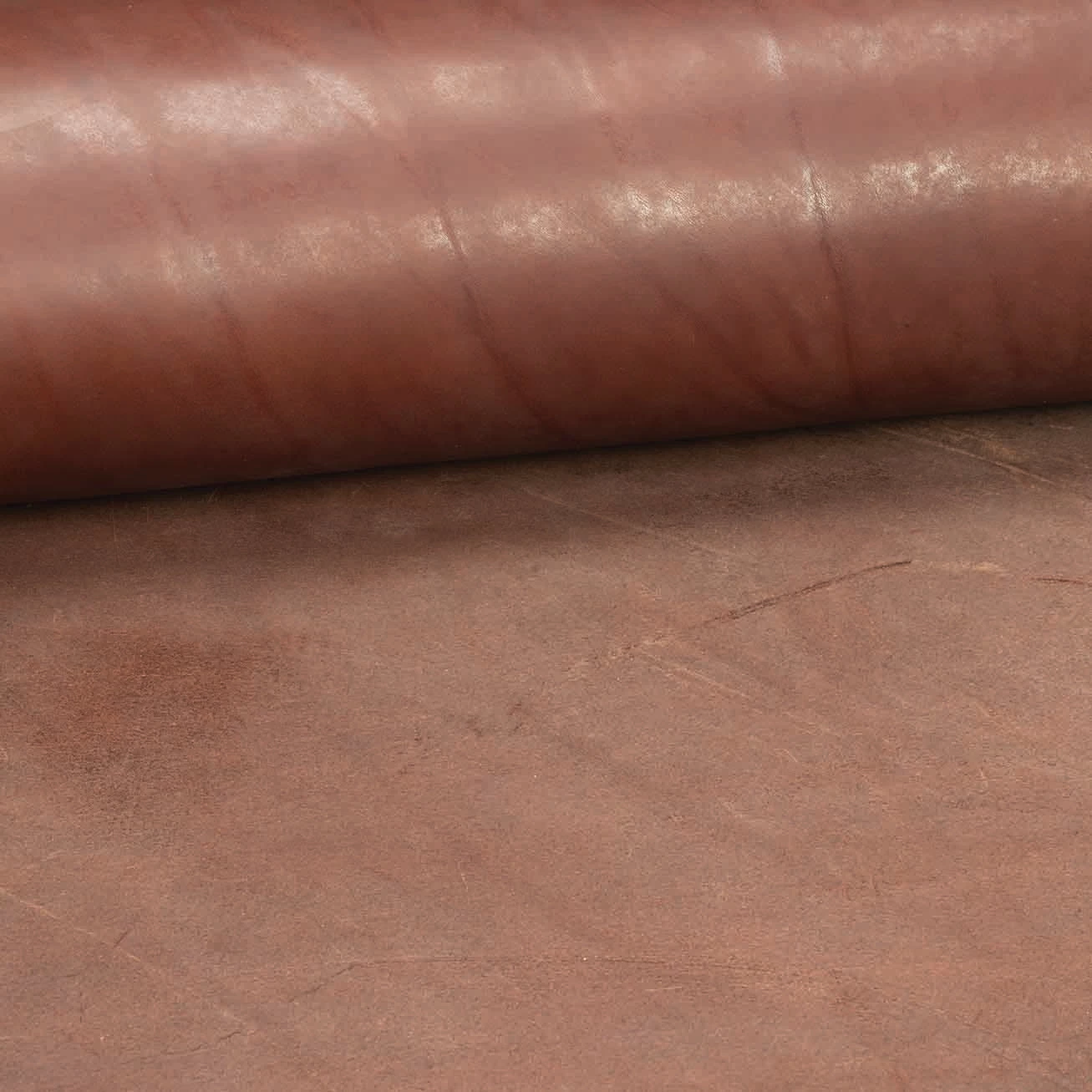 CHAHINLEATHER® English Bridle Leather, Double Shoulders 14 CHAHINLEATHER® English Bridle Leather, Double Shoulders - Image 14