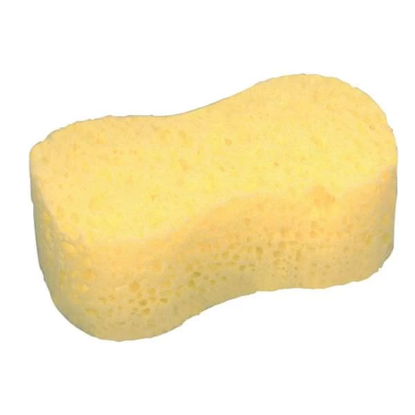 All Purpose Sponge 1 All Purpose Sponge