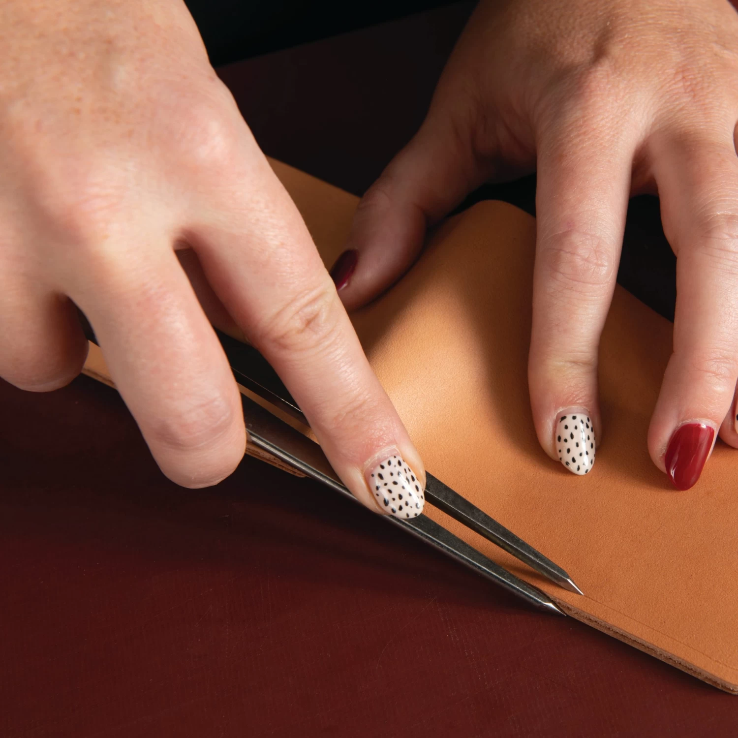 Wing Divider, 8" 6 Wing Divider, 8" - Image 6